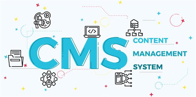 سئوی داخلی در CMSها