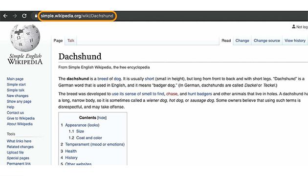 ساب دامین رایگان