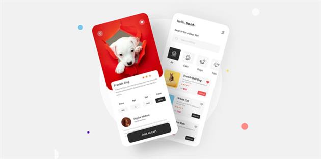 چرا باید پت شاپ آنلاین خود را راه اندازی کنیم