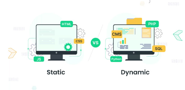انواع طراحی سایت