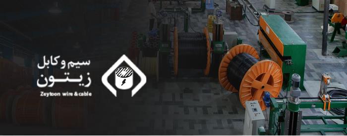 طراحی وب سایت شرکت کابل زیتون