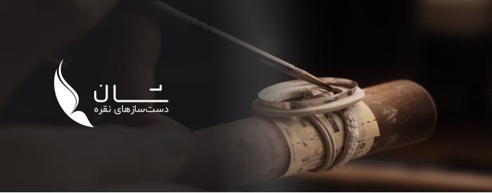 طراحی وب سایت شان