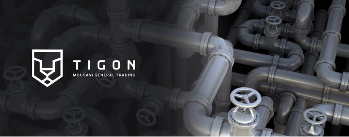 طراحی وب سایت تایگون