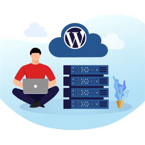 هاست چیست؟ آشنایی با انواع هاست و معیارهای انتخاب آن