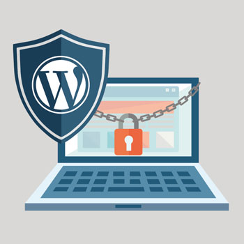 معرفی بهترین افزونه های امنیتی وردپرس
