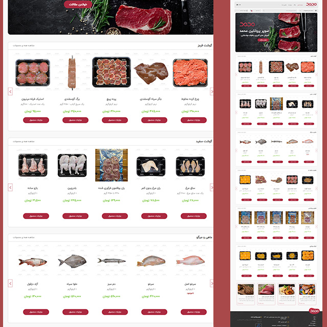 طراحی سایت فروشگاه پروتئینی